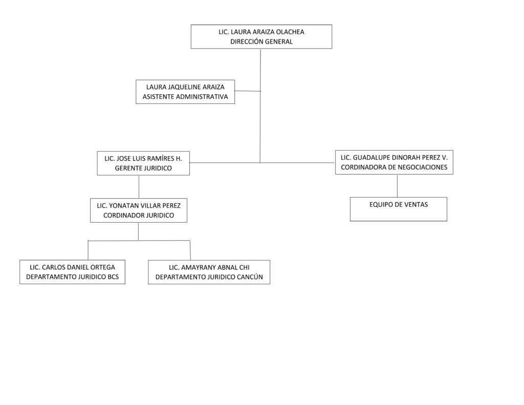 organigrama actualizado organigrama actualizado